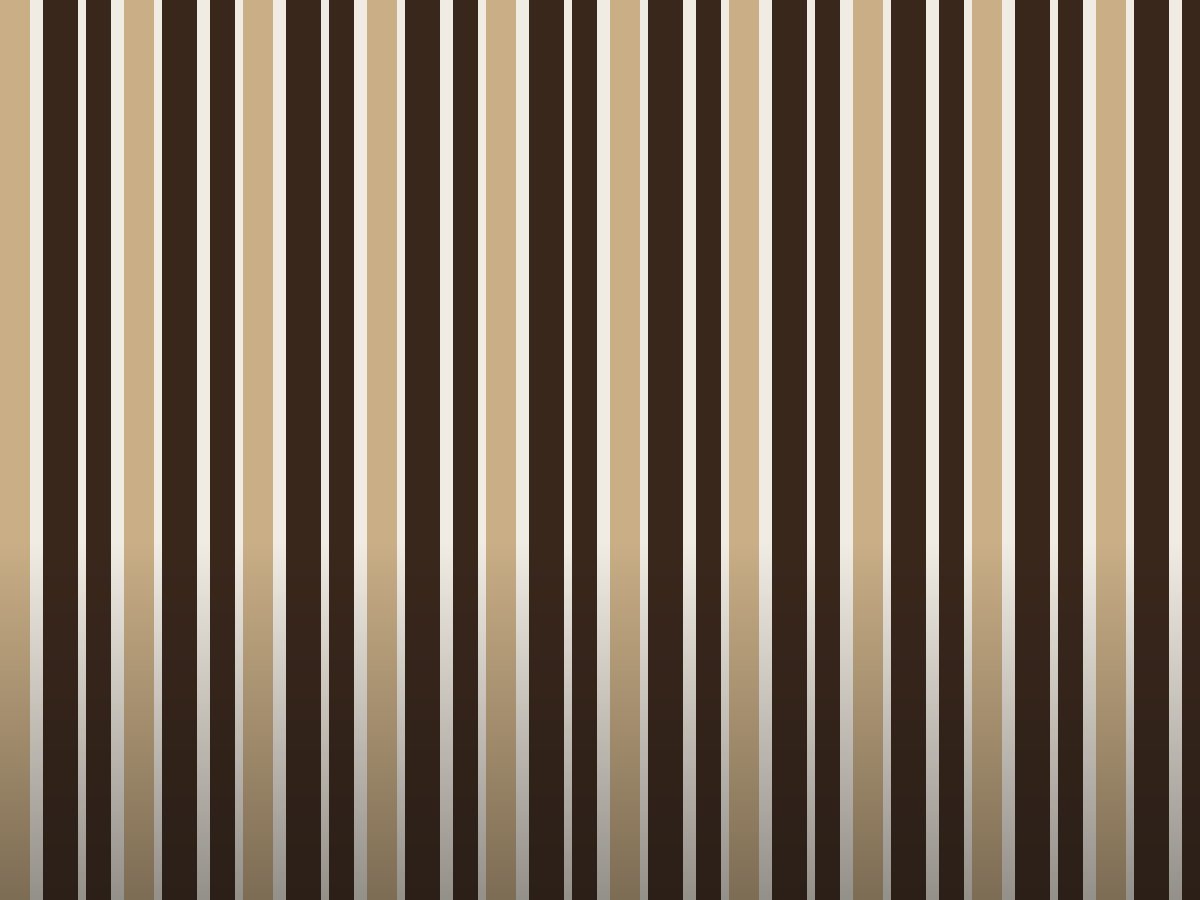 Slat Room Dividers: The Small-Apartment Trick Designers Won't Shut Up About
